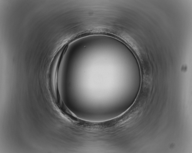X0000097660485200802291430