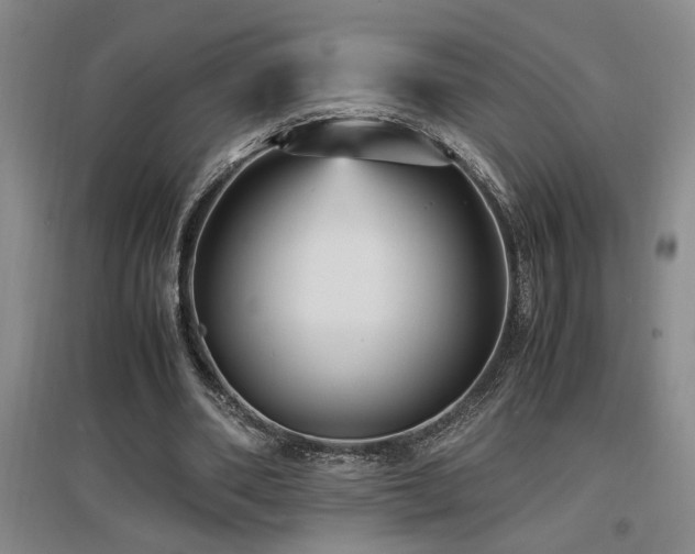 X0000097660486200802291430
