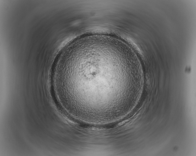 X0000097660487200802291430