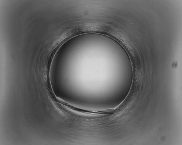 X0000097660489200802291430