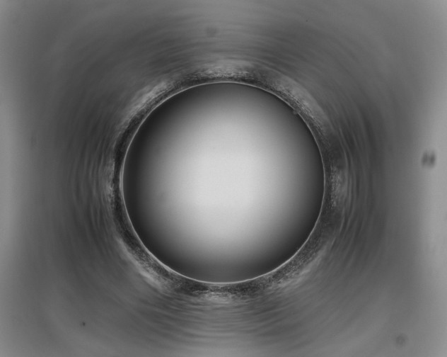 X0000097660490200802291430