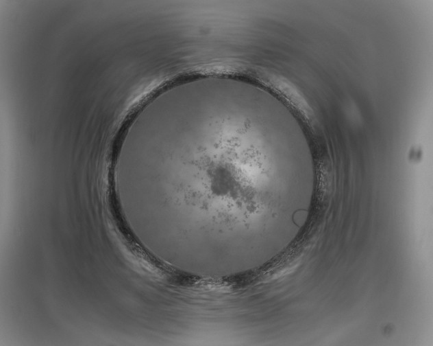 X0000097660491200802291430