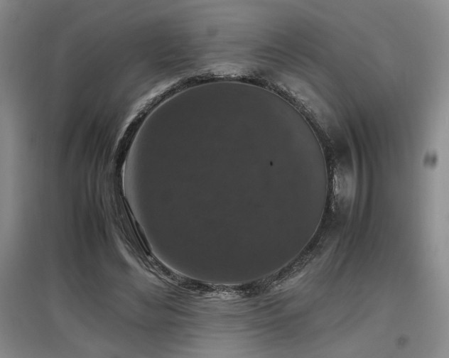 X0000097660492200802291430