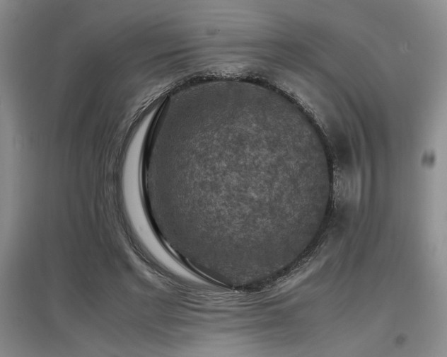 X0000097660493200802291430