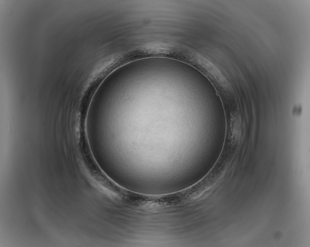 X0000097660494200802291430