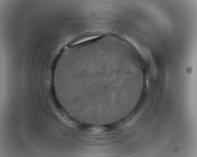 X0000097660495200802291430