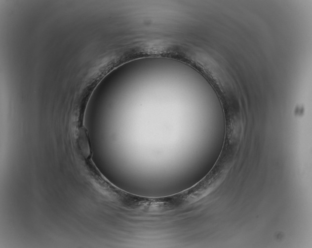 X0000097660497200802291430