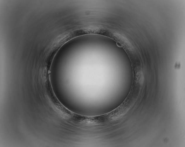 X0000097660498200802291430