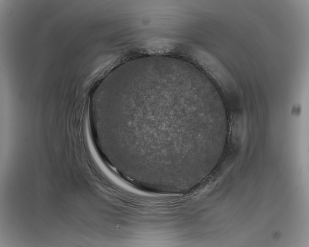X0000097660501200802291430