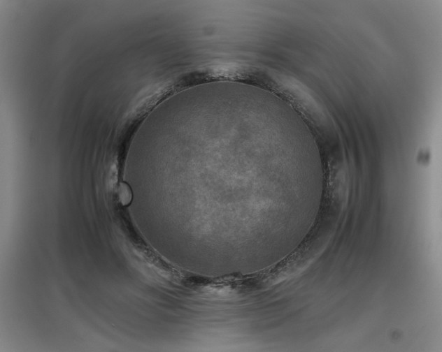 X0000097660502200802291430