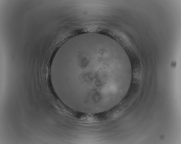 X0000097660503200802291430