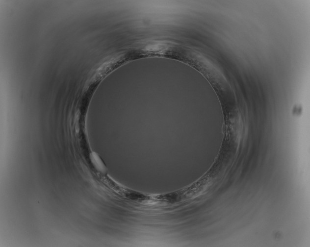 X0000097660504200802291430