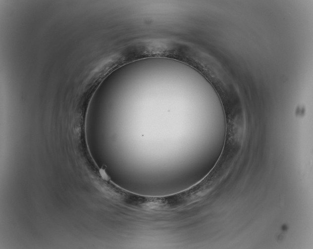 X0000097660505200802291430