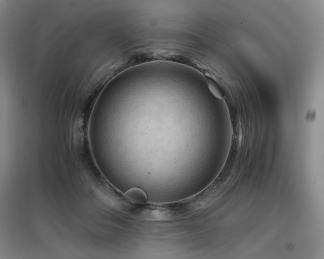 X0000097660506200802291430