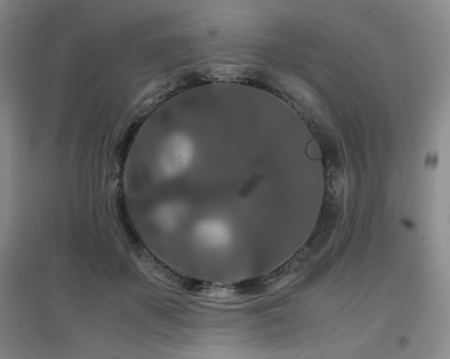 X0000097660507200802291430