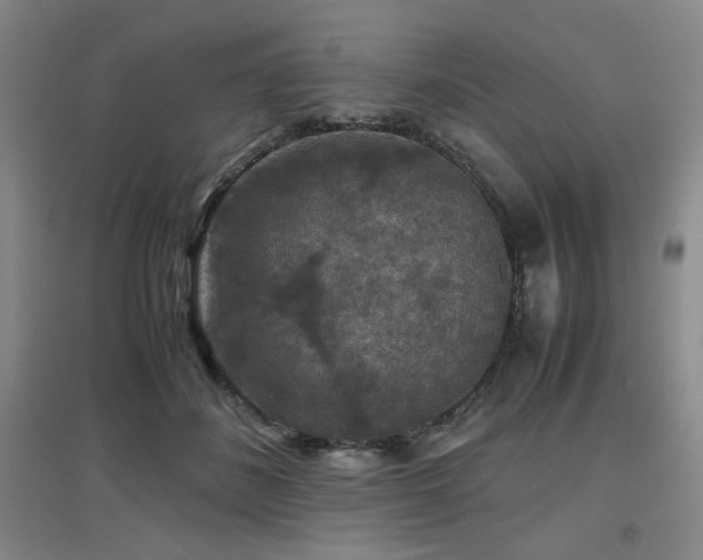 X0000097660508200802291430