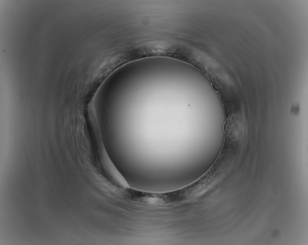 X0000097660509200802291430