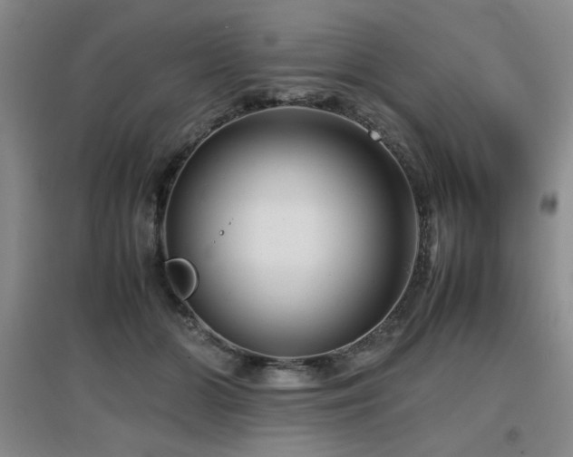 X0000097660510200802291430