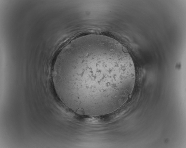 X0000097660511200802291430