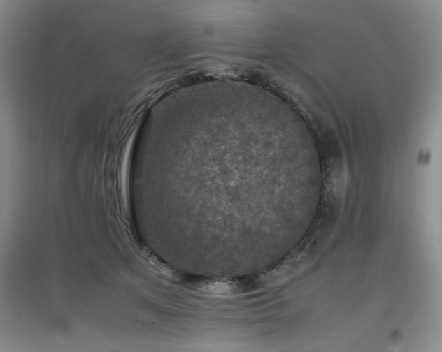 X0000097660513200802291430