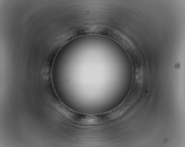 X0000097660514200802291430