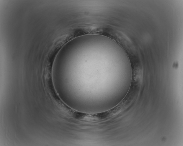 X0000097660515200802291430