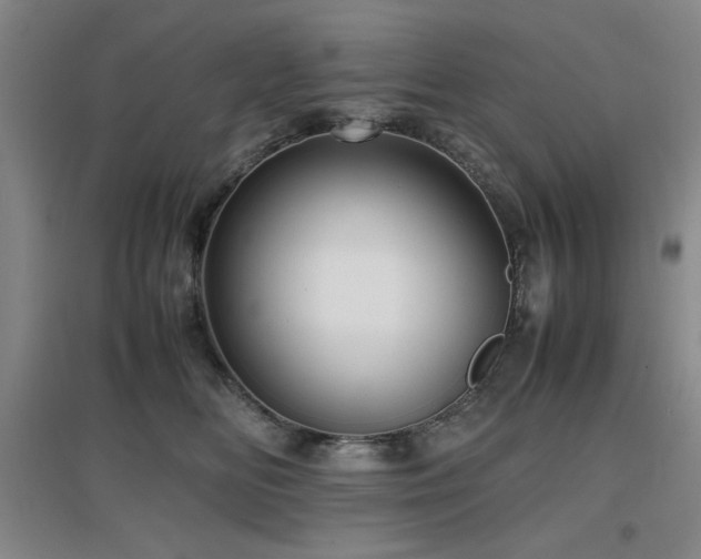 X0000097660518200802291430