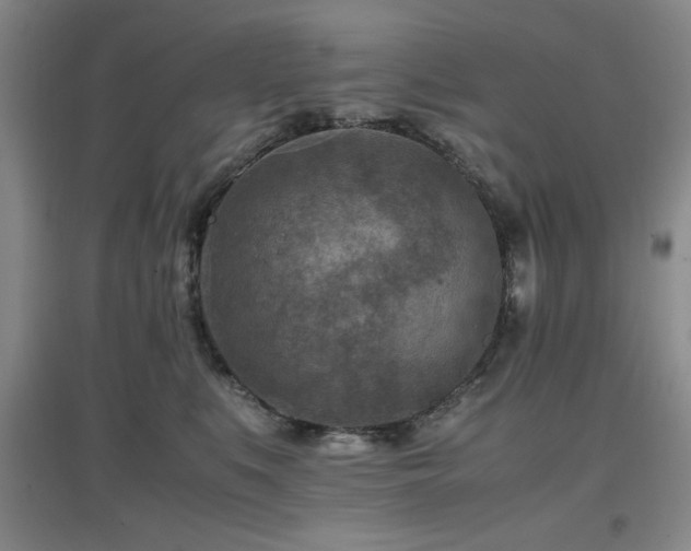 X0000097660519200802291430