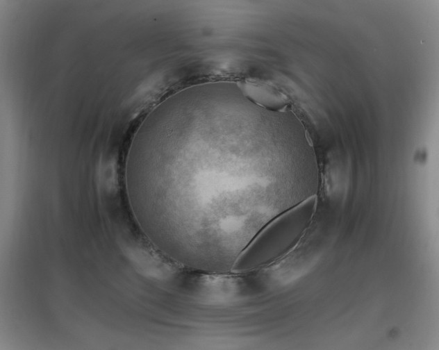 X0000097660520200802291430
