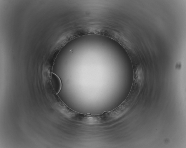 X0000097660522200802291429