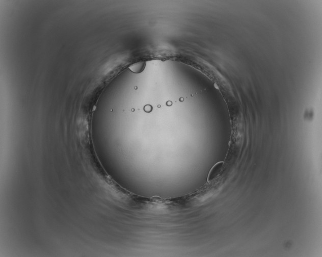 X0000097660523200802291429