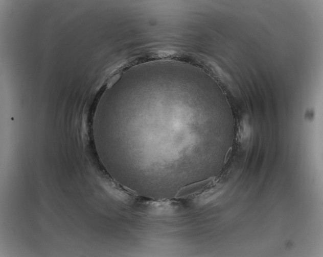 X0000097660524200802291429