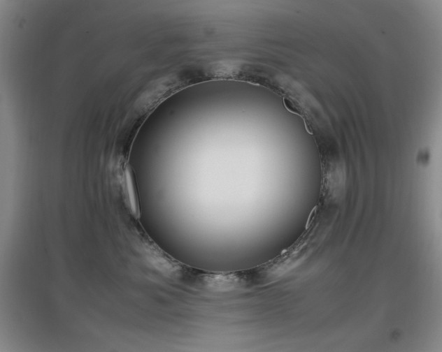 X0000097660525200802291429
