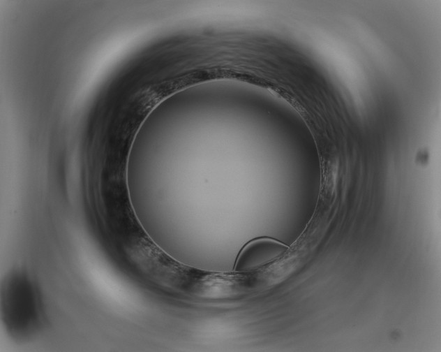X0000097660526200802291429
