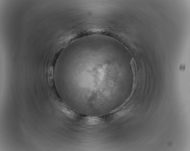 X0000097660528200802291429