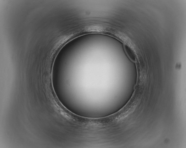 X0000097660529200802291429