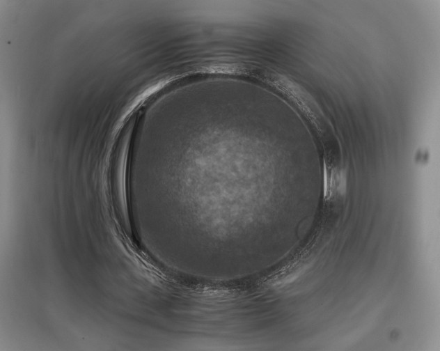 X0000097660531200802291429