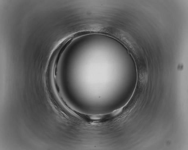 X0000097660532200802291429