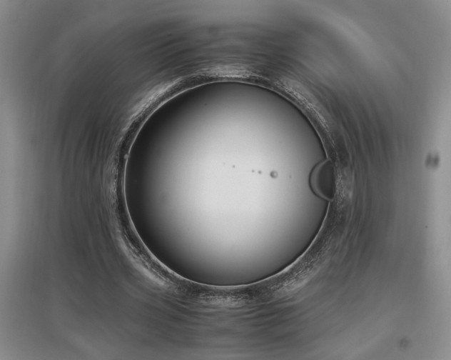 X0000097660533200802291429