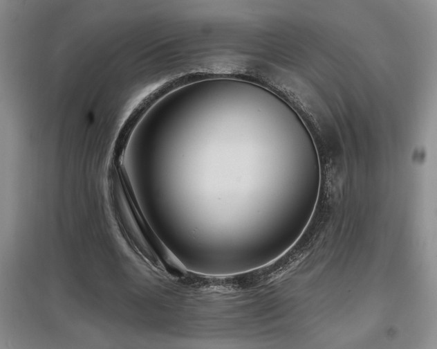 X0000097660536200802291429