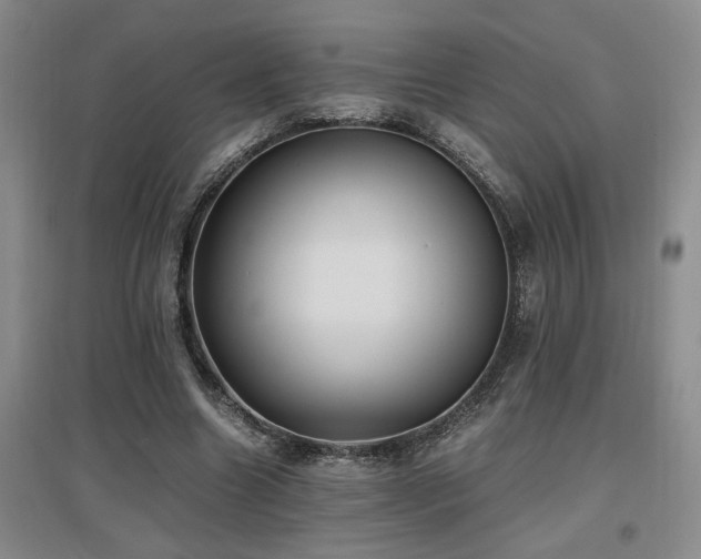 X0000097660538200802291429