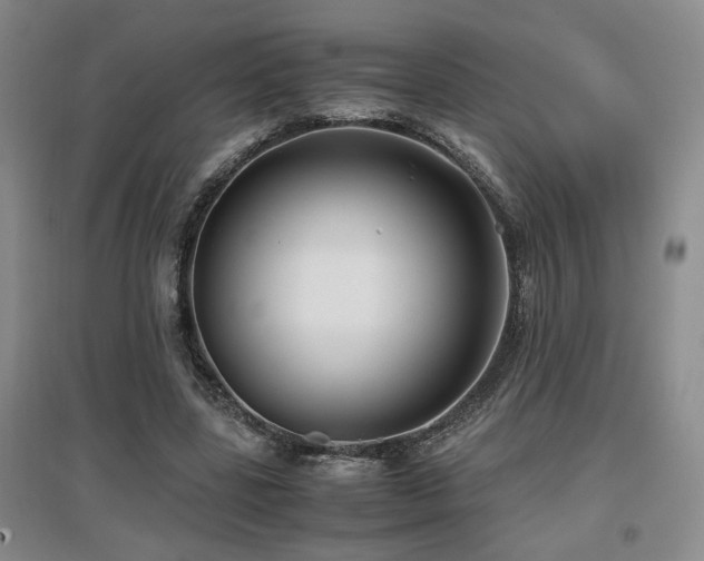 X0000097660539200802291429