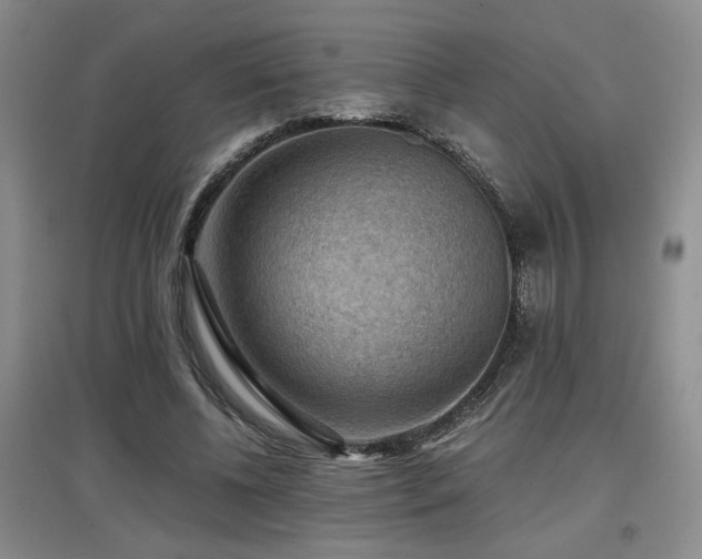 X0000097660540200802291429