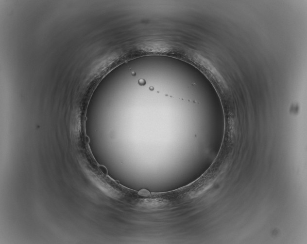 X0000097660541200802291429
