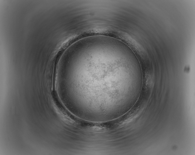 X0000097660542200802291429