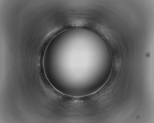 X0000097660543200802291429