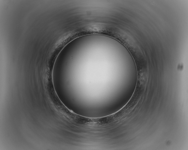 X0000097660544200802291429