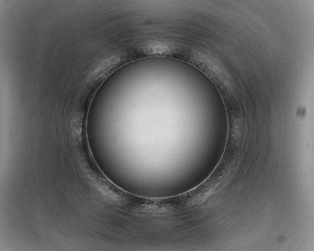 X0000097660545200802291429