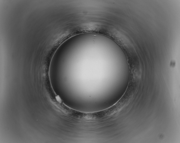 X0000097660546200802291429