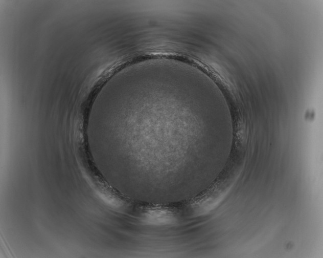 X0000097660547200802291429